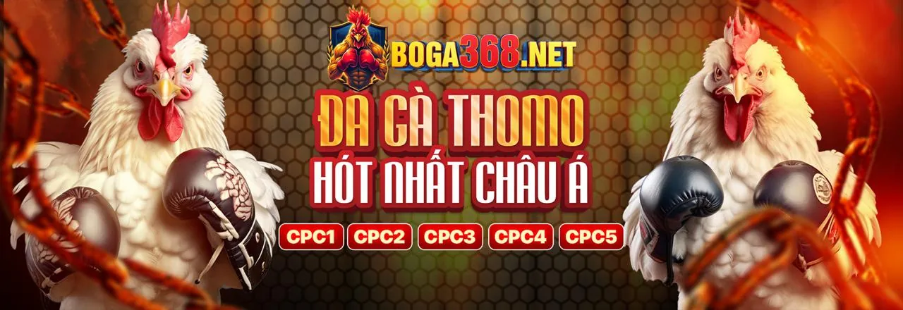 Hình ảnh chính về tin tức thienhabet nhà cái 2026